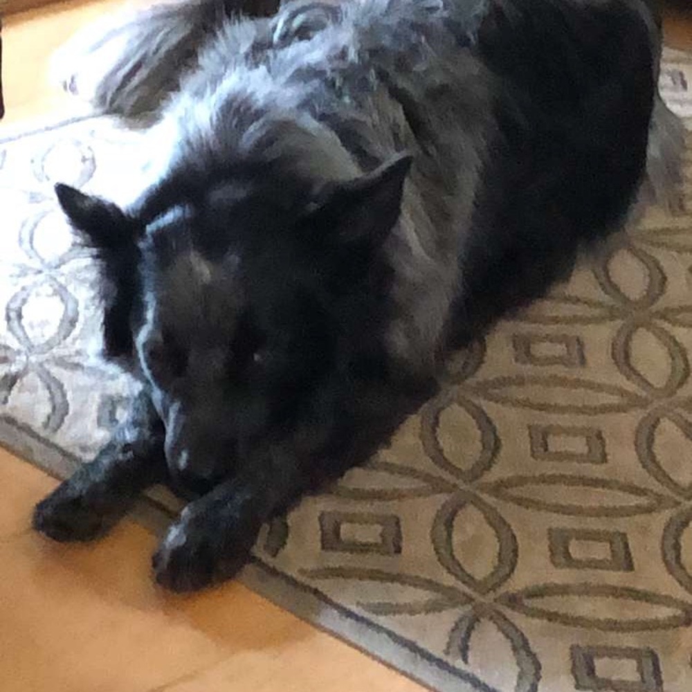 Meet your Posher, Vita